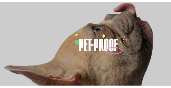 BOXBETT 180/200 cm  in Graphitfarben  - Schwarz/Graphitfarben, Basics, Kunststoff/Textil (180/200cm) - Carryhome