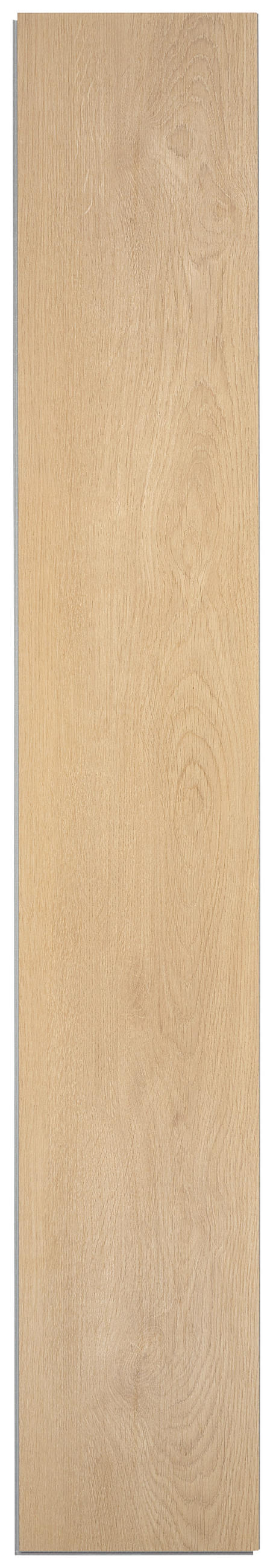 VINYLOVÁ PODLAHA  (m²) barvy dubu - barvy dubu, Design, plast (123,5/19,2/0,4cm) - Boxxx