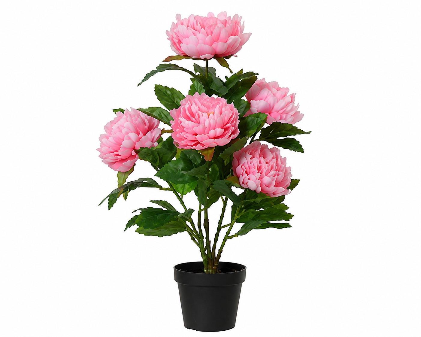 RUŽA        30/55 cm      - pink/zelena, Osnovno, kamen/metal (30/55cm) - Ambia Home