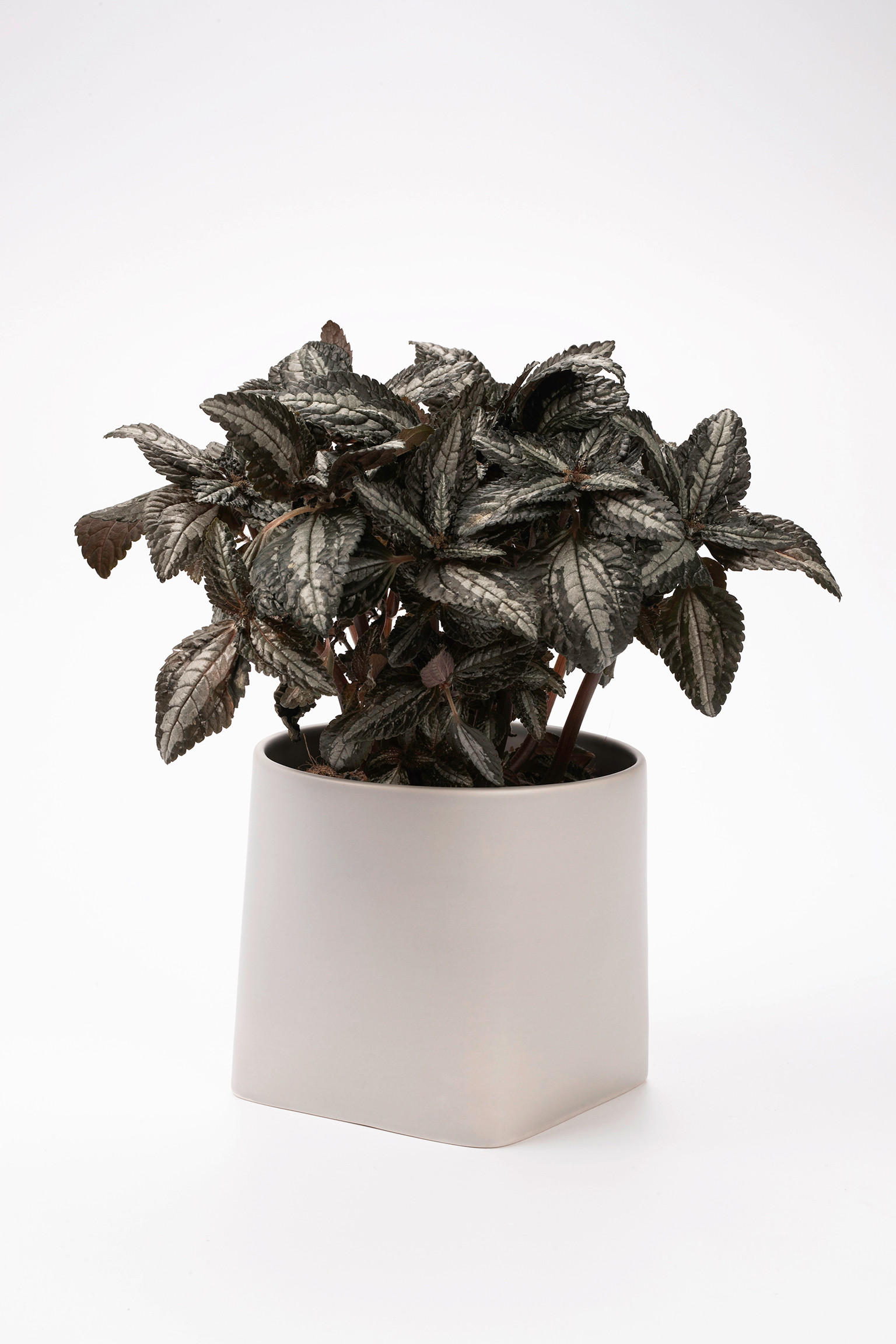 ÜBERTOPF   - Grau, Basics, Keramik (16/14/14cm) - Markslöjd