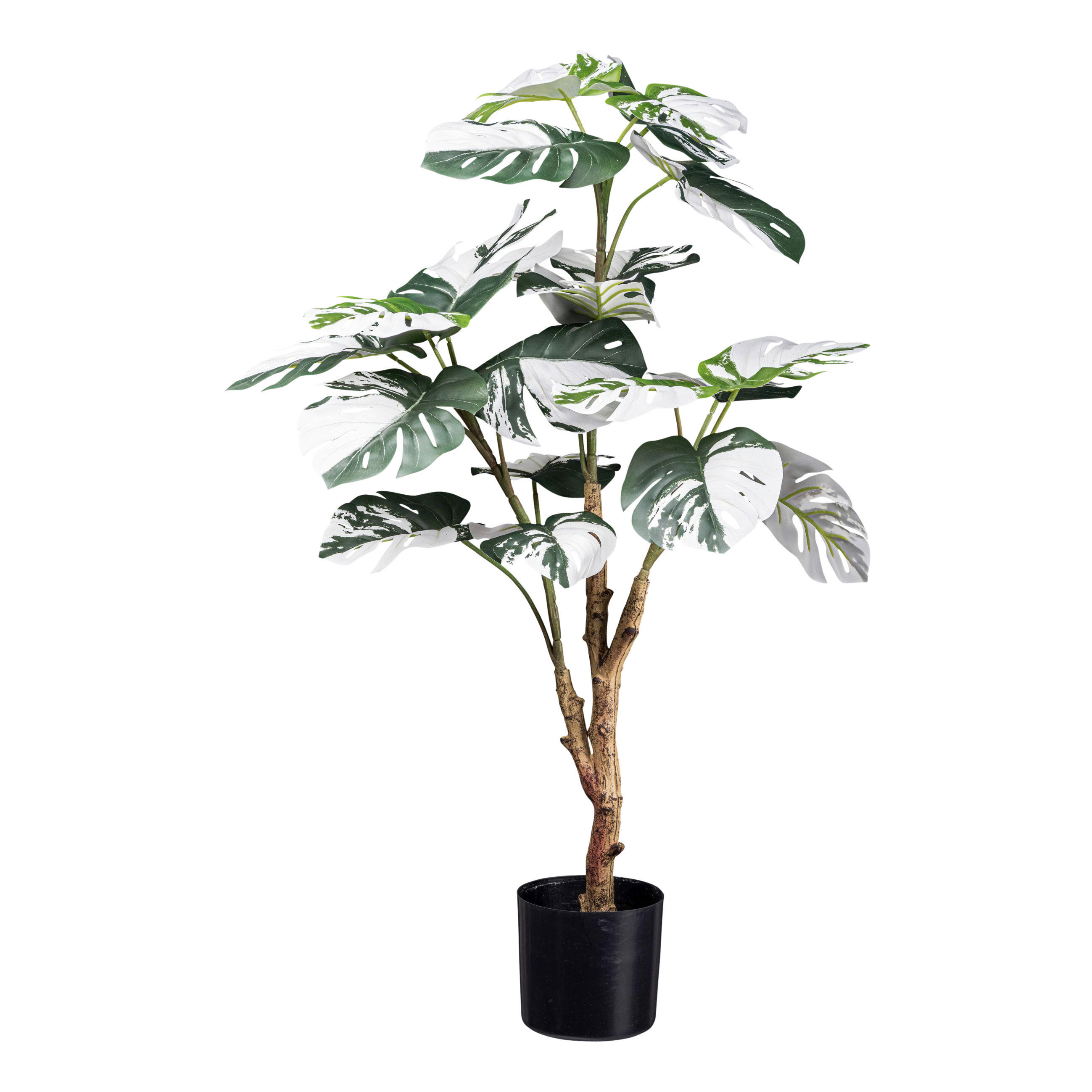 KUNSTPFLANZE Fensterblatt 80 cm  - Schwarz/Braun, Design, Kunststoff (80cm)
