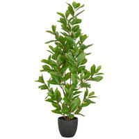 KUNSTPFLANZE Efeutute 90 cm  - Schwarz/Braun, Basics, Kunststoff (90cm) - P & B