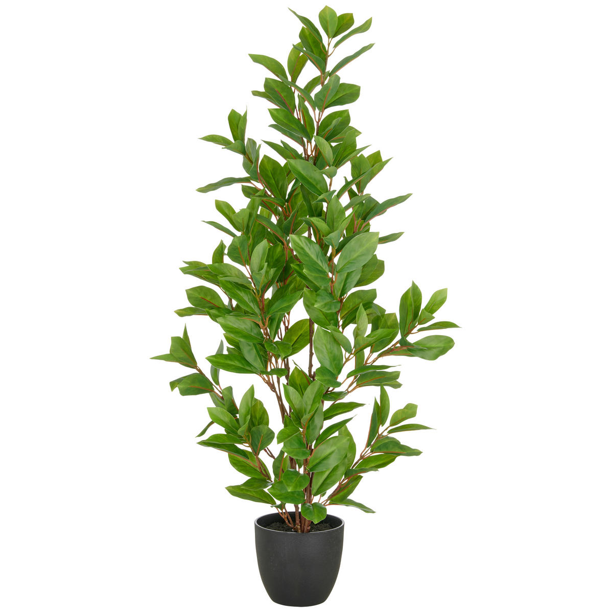 KUNSTPFLANZE Efeutute 90 cm  - Schwarz/Braun, Basics, Kunststoff (90cm) - P & B