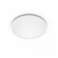 KUPAONSKA LED SVJETILJKA STRO  - Basics (25/2,3/25cm) - Philips