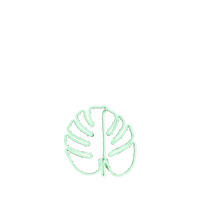 UKRASNI CVET - zelena, Osnovno, plastika (33.50/33.00cm)