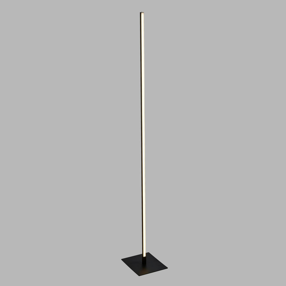 LED-STEHLEUCHTE  20/150/24 cm   - Schwarz/Weiß, Basics, Kunststoff/Metall (20/150/24cm)