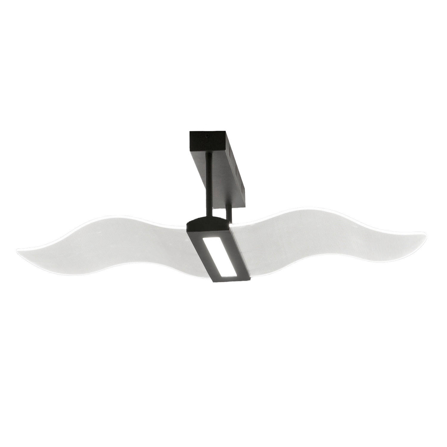 LED PLAFONJERA Fenice  - crna, Dizajnerski, metal/plastika (85/40/200cm)