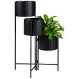 BLUMENTOPF  - Schwarz, Basics, Metall (37/65/37cm) - Ambia Home