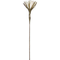 UMĚLÁ KVĚTINA 108 cm - šedá/hnědá, Basics, kov/plast (108cm) - Ambia Home