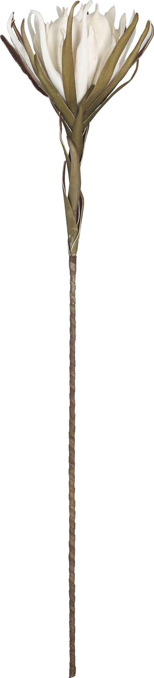 UMĚLÁ KVĚTINA 108 cm - šedá/hnědá, Basics, kov/plast (108cm) - Ambia Home