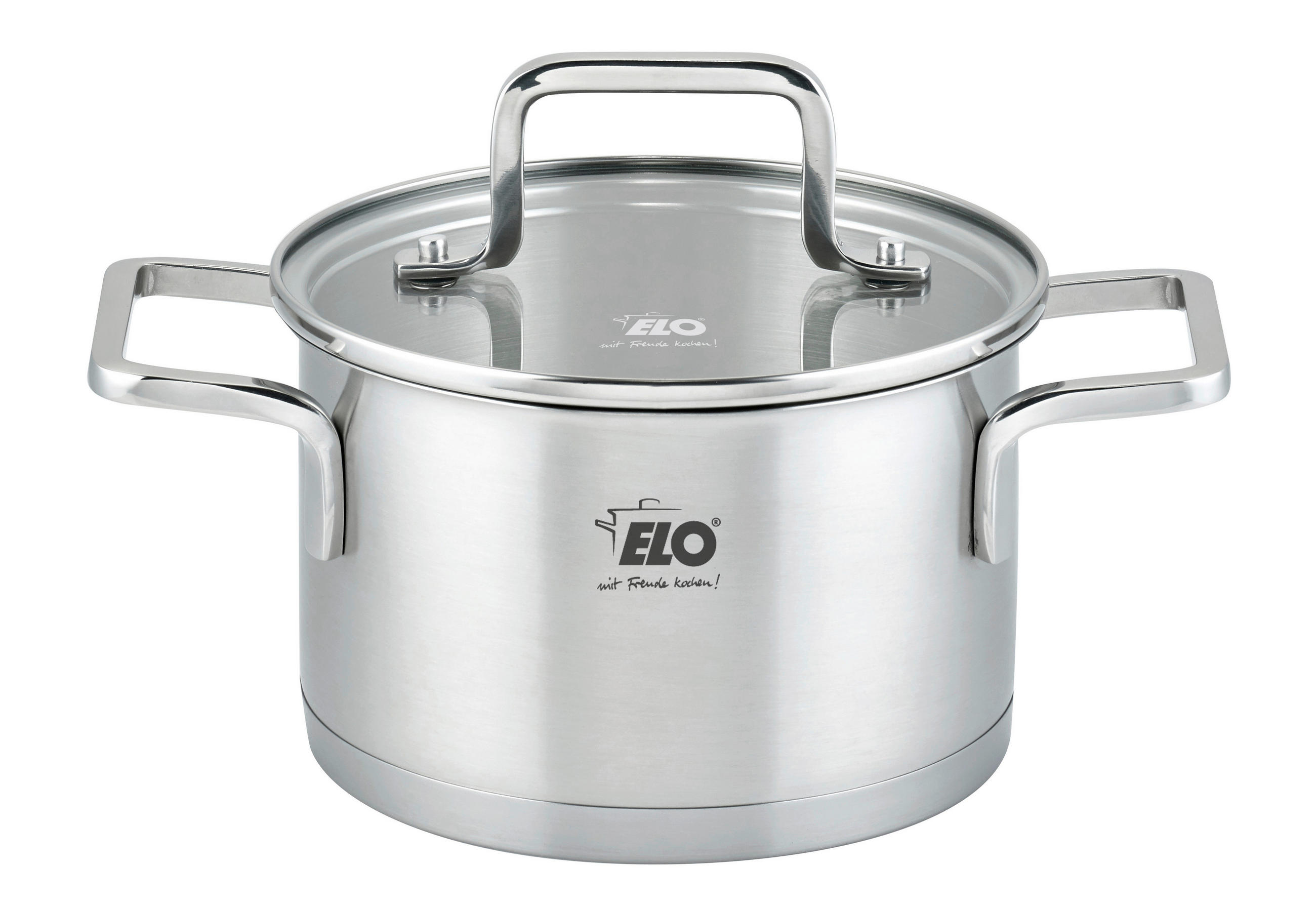 FLEISCHTOPF Topas 1,7 L  - Transparent/Silberfarben, Basics, Glas/Metall (16cm) - ELO