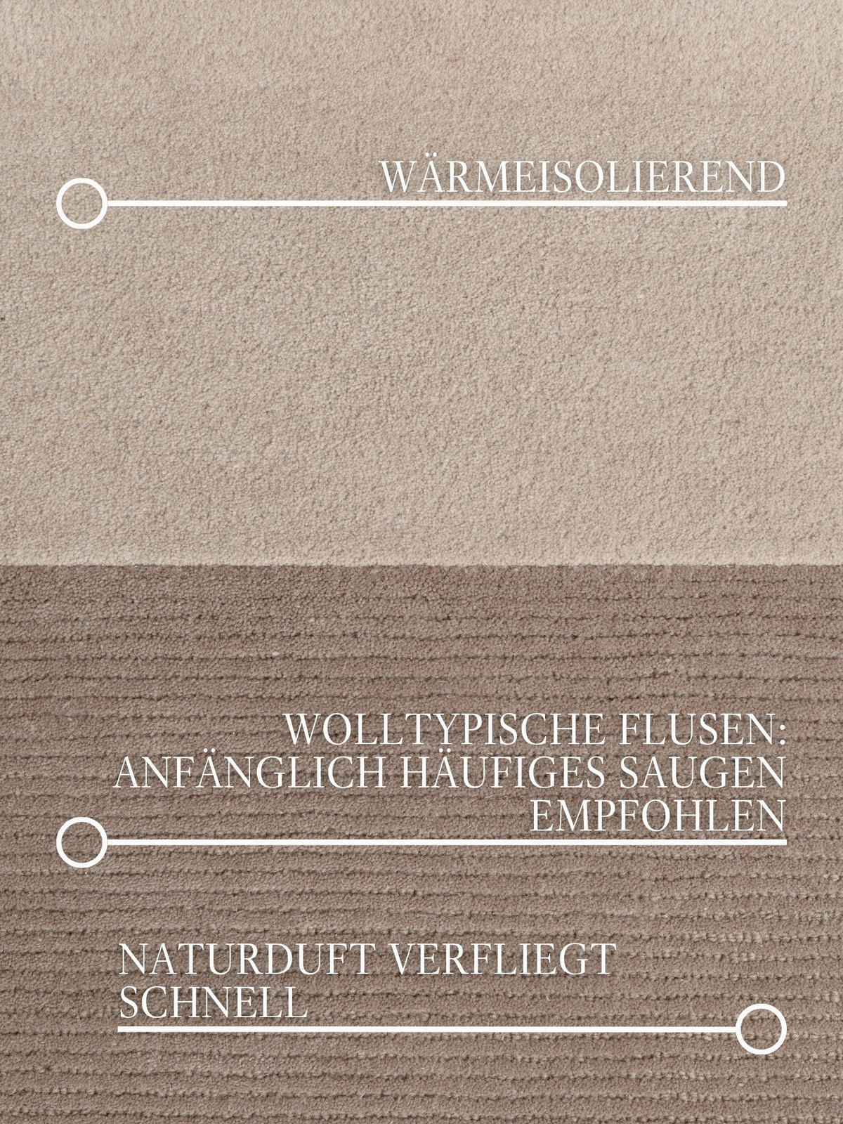 WOLLTEPPICH Wohnzimmer 200/290 cm Kollektion 1888 Hugo Creme, Beige rechteckig  - Beige/Creme, Basics, Textil (200/290cm) - Villeroy & Boch