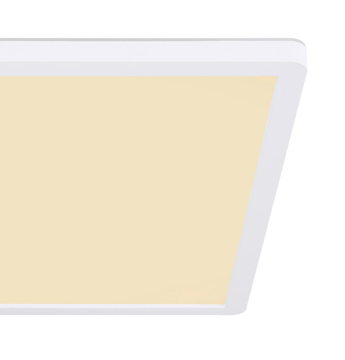 STROPNA LED-SVETILKA  Sapana //3000 K/230 V/ - bela/opal, Basics, umetna masa (29,4/29,4/2,5cm) - Globo