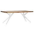 TISCHPLATTE      - Sheeshamfarben, Design, Holz (200/100/5cm) - Landscape
