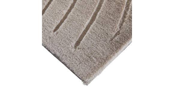 HOCHFLORTEPPICH 160/230 cm Siena Taupe - Taupe, Design, Kunststoff/Textil (160/230cm) - Novel