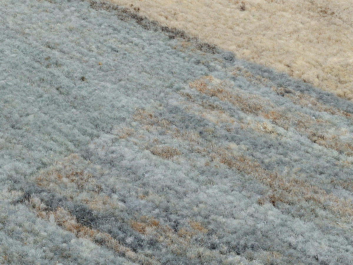 WOLLTEPPICH 140/200 cm Grau, Silberfarben  - Silberfarben/Grau, Design, Textil (140/200cm) - Cazaris