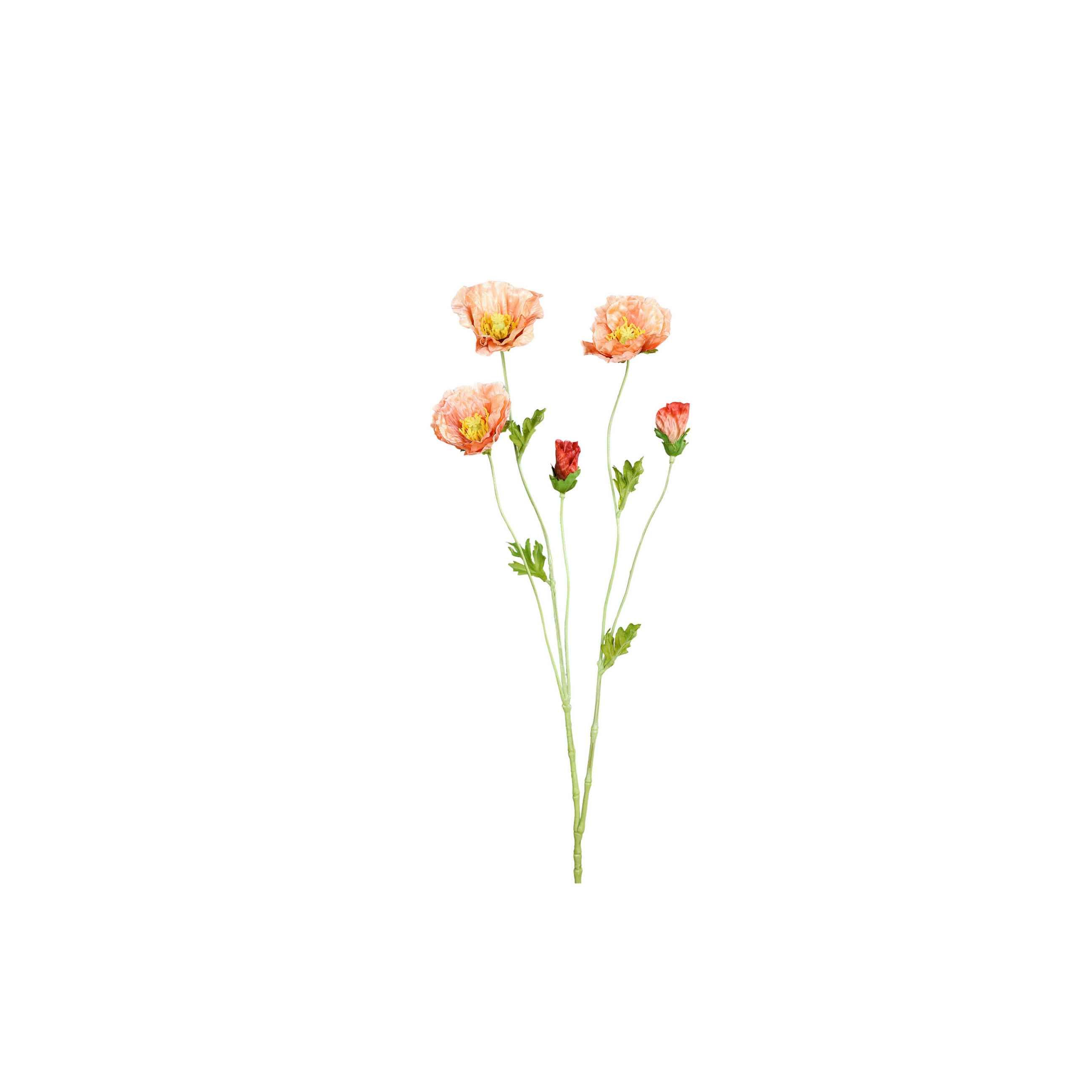 MOHN - Aprikose/Grün, Basics, Kunststoff/Textil (68cm)