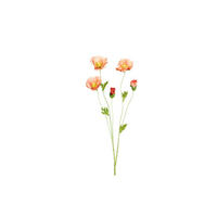 MOHN - Aprikose/Grün, Basics, Kunststoff/Textil (68cm)