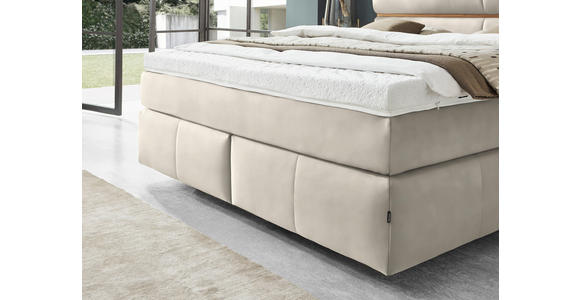BOXSPRINGBETT 180/200 cm in Creme, Eichefarben - Eichefarben/Creme, KONVENTIONELL, Holz/Kunststoff (180/200cm) - Dieter Knoll