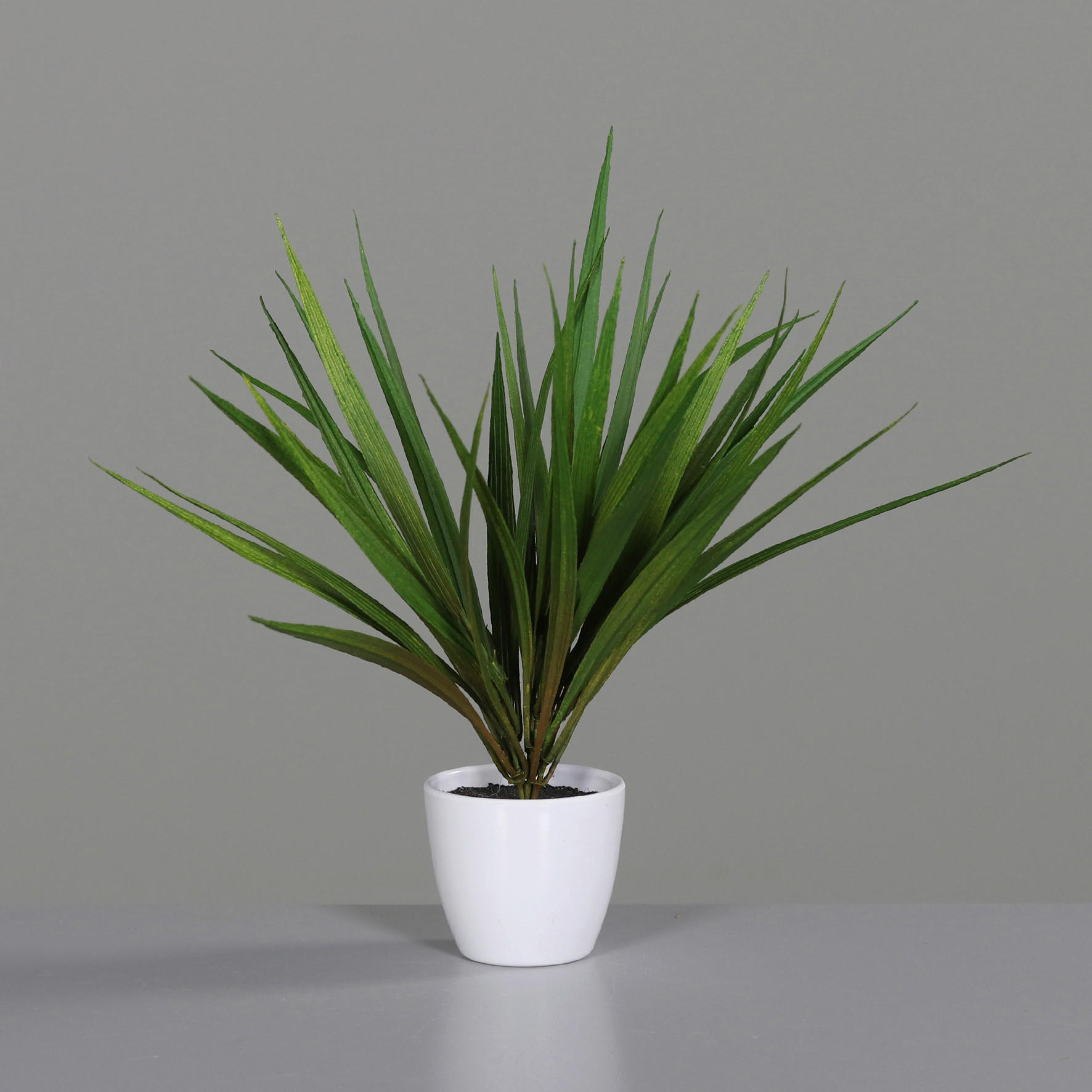 KUNSTPFLANZE 31 cm  - Weiß/Grün, Basics, Kunststoff (31cm)