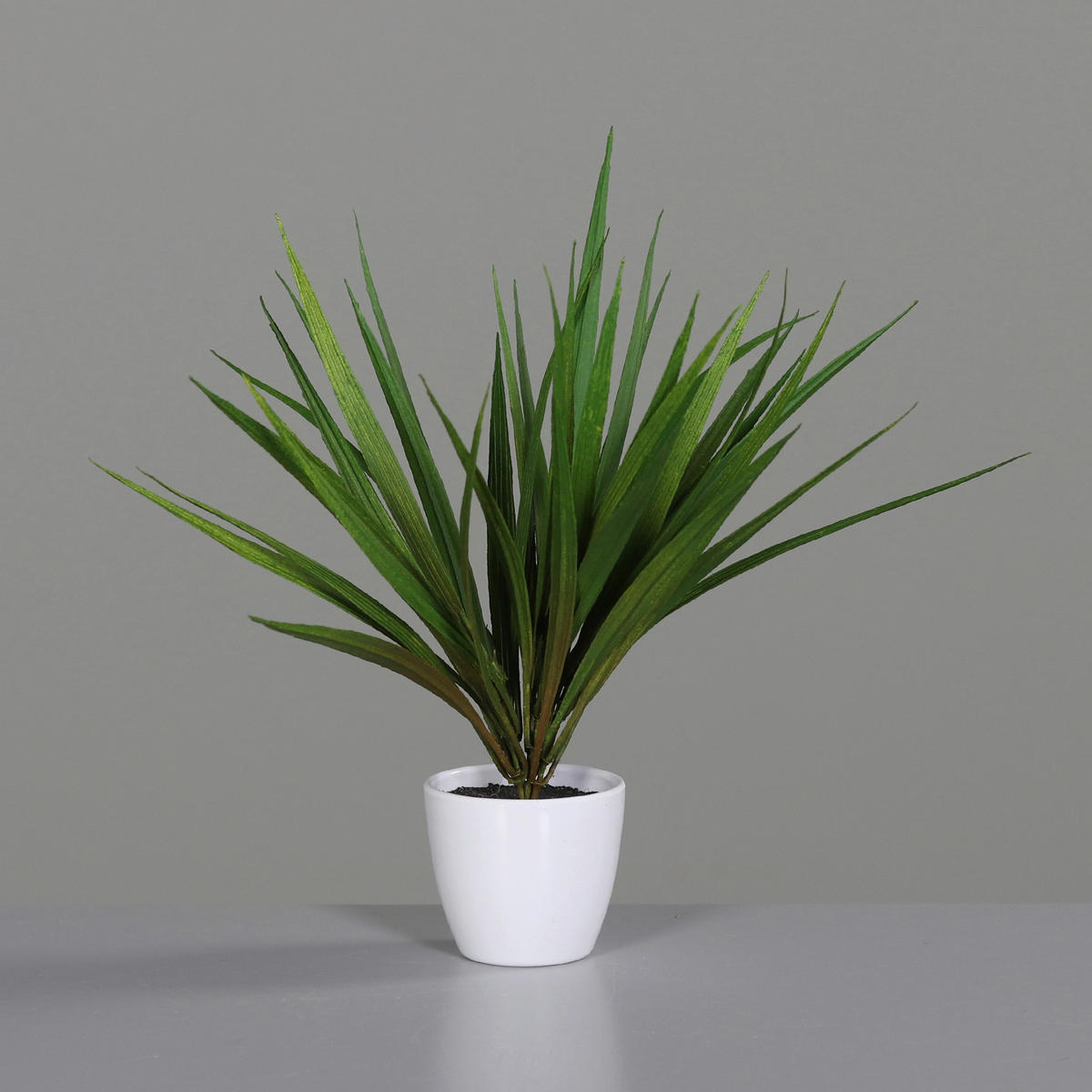 KUNSTPFLANZE 31 cm  - Weiß/Grün, Basics, Kunststoff (31cm)