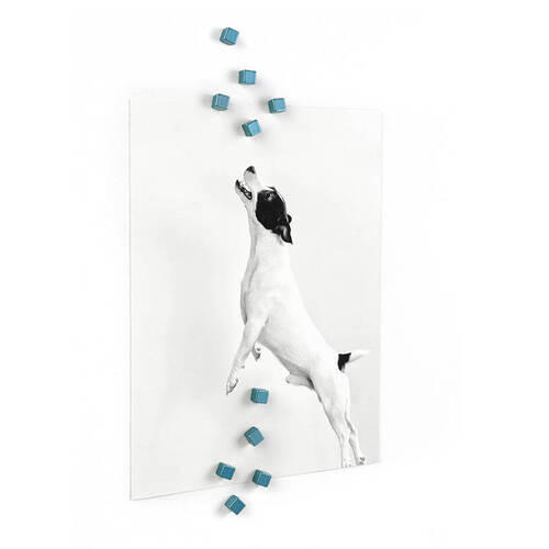 MAGNETSET  - Blau, Basics (0,5/0,5/0,5cm)
