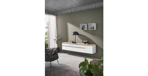 LOWBOARD  in 225/46/41 cm  - Eichefarben/Silberfarben, Design, Holzwerkstoff/Kunststoff (225/46/41cm) - Dieter Knoll