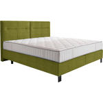 BOXSPRINGBETT 160/220 cm  in Hellgrün  - Schwarz/Hellgrün, KONVENTIONELL, Textil/Metall (160/220cm) - Esposa