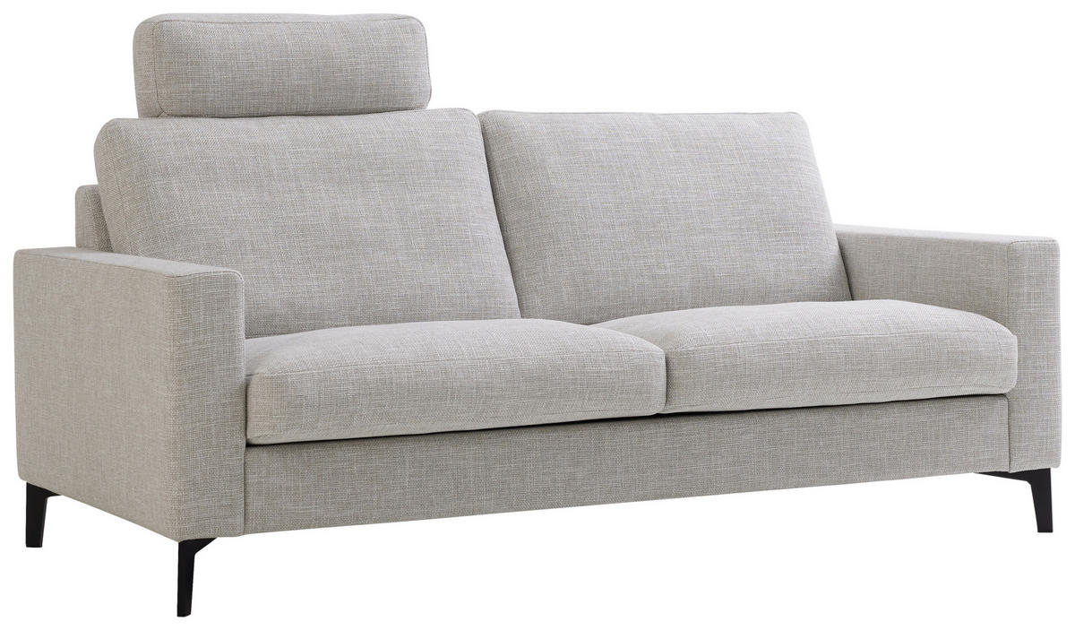 2,5-SITZER Seidengrau  - Seidengrau/Schwarz, MODERN, Textil/Metall (182/84/92cm) - Erpo