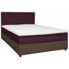 BOXBETT 120/200 cm  in Grau, Brombeere  - Brombeere/Schwarz, KONVENTIONELL, Holz/Textil (120/200cm) - Boxxx