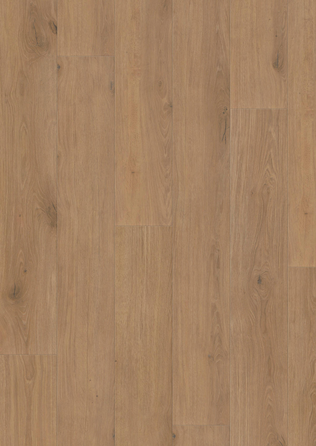 VINYLBODEN Elito Trend Eiche Champagne 100005701  per  m² - Design, Holz (220/21,6/1cm) - Tilo