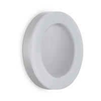 ZUNANJA STENSKA SVETILKA        32/5 cm       - srebrne barve, Basics, kovina/umetna masa (32/5cm) - Telefunken