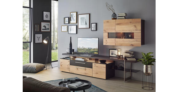 WOHNWAND in Braun, Eichefarben - Edelstahlfarben/Eichefarben, Design, Glas/Holz (295/185/55,7cm) - Dieter Knoll