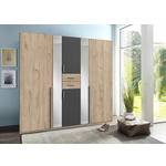 KLEIDERSCHRANK  in Graphitfarben, Eichefarben  - Eichefarben/Alufarben, KONVENTIONELL, Glas/Holzwerkstoff (225/208/58cm) - Carryhome