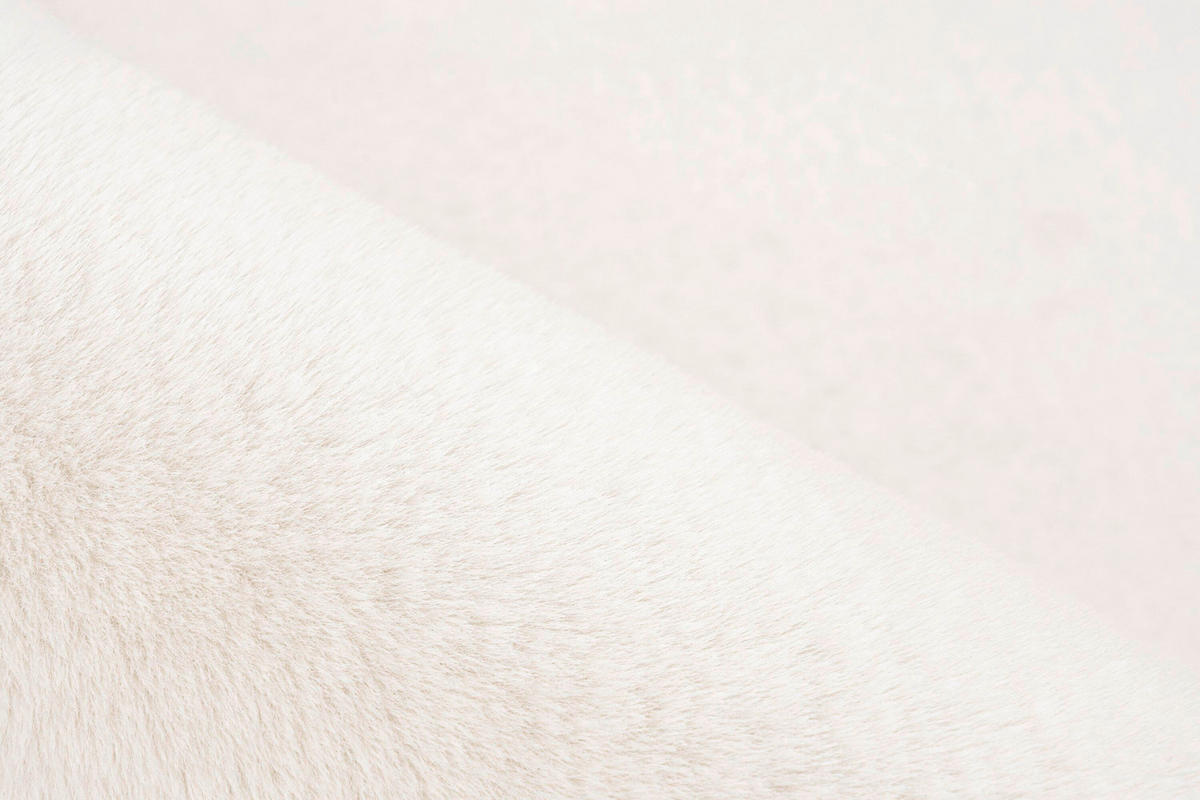 FLACHWEBETEPPICH 80/150 cm Elfenbein  - Elfenbein, Basics, Textil (80/150cm) - Kayoom