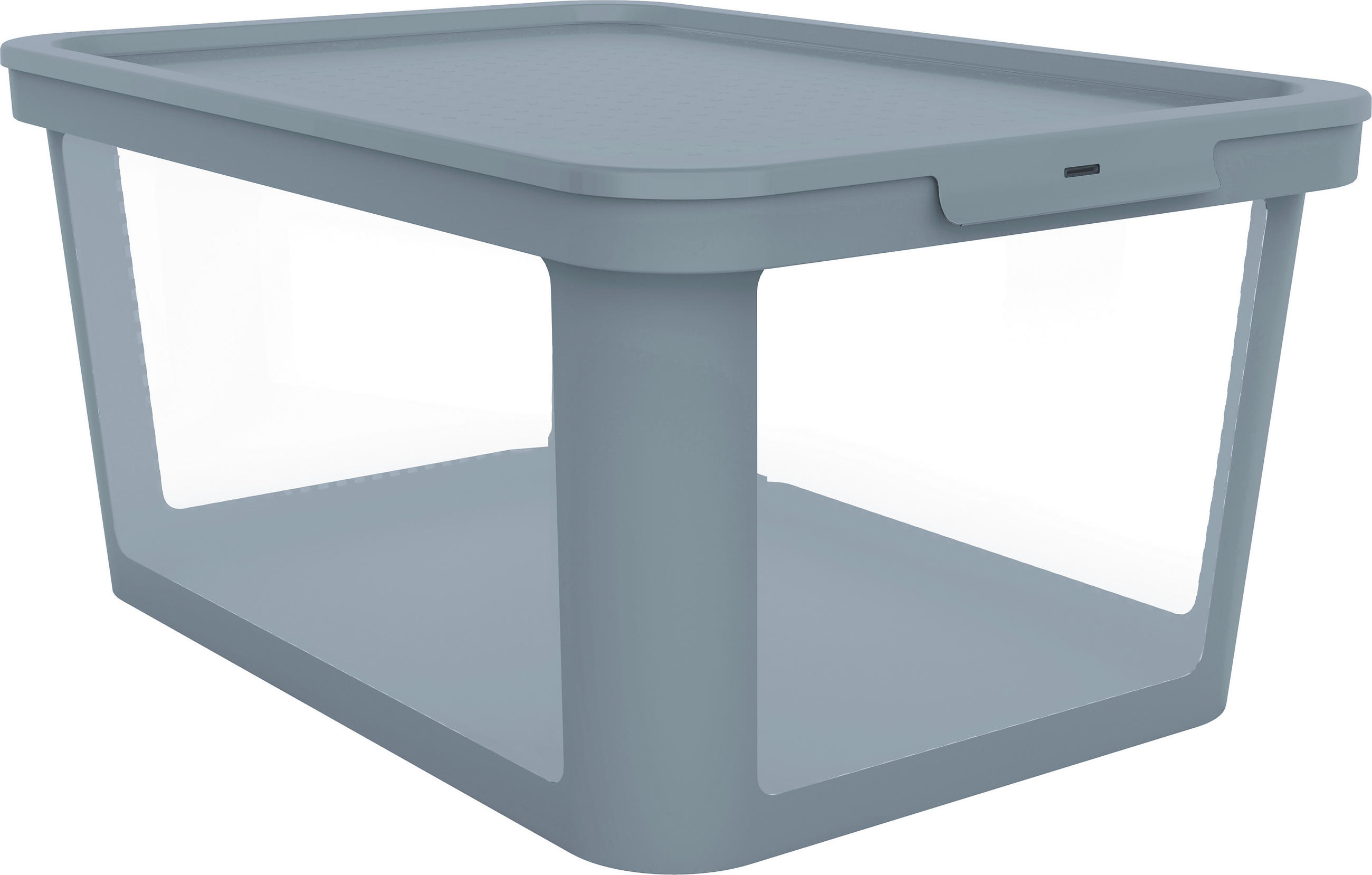 BOX MIT DECKEL Albris  - Hellblau, KONVENTIONELL, Kunststoff (57/39,2/27cm) - Rotho