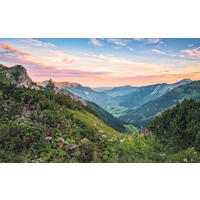 VLIESTAPETE - Natur (400/250cm)