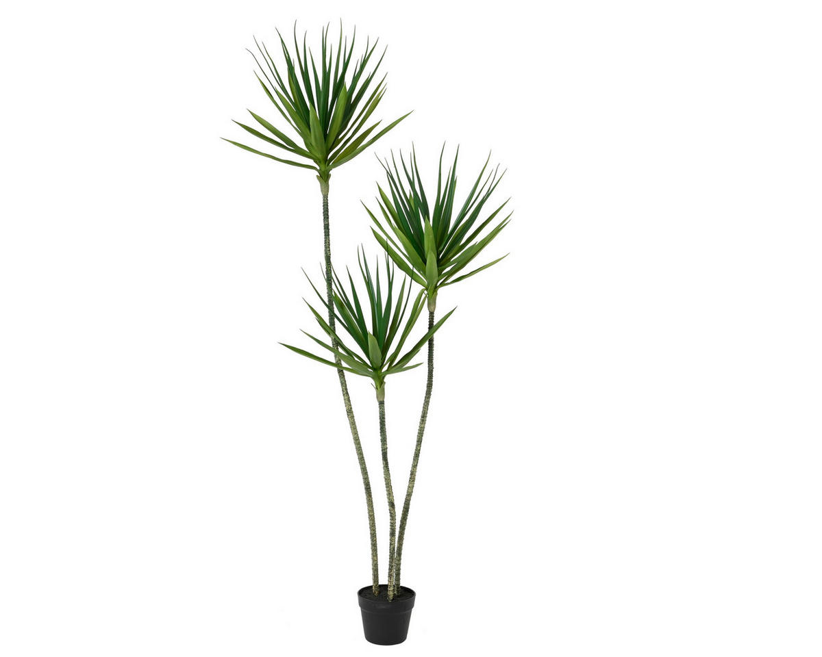 UMETNA RASTLINA   80/80/160 cm            - Basics (80/80/160cm)