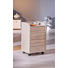 ROLLCONTAINER Eichefarben - Eichefarben/Silberfarben, KONVENTIONELL, Kunststoff (40/65/36cm) - Carryhome