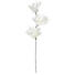 KVĚTINA UMĚLÁ, - bílá, Basics, kov/umělá hmota (88cm) - Ambia Home KVĚTINA UMĚLÁ, - bílá, Basics, kov/umělá hmota (88cm) - Ambia Home