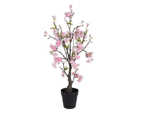 PLANTĂ DECORATIVĂ - Basics (35/35/80cm)