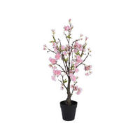 PLANTĂ DECORATIVĂ - Basics (35/35/80cm)