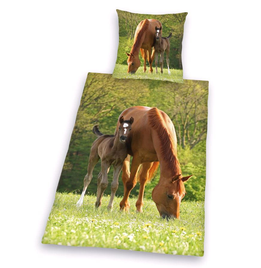 JUGENDBETTWÄSCHE Pferde Renforcé 135/200 cm  - Multicolor, Design, Textil (135/200cm) - Herding
