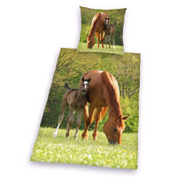 JUGENDBETTWÄSCHE Pferde Renforcé 135/200 cm  - Multicolor, Design, Textil (135/200cm) - Herding
