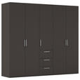 DREHTÜRENSCHRANK 251/223/61 cm,  in Graphitfarben, 5-türig  - Edelstahlfarben/Graphitfarben, Basics, Holzwerkstoff/Metall (251/223/61cm) - Novel
