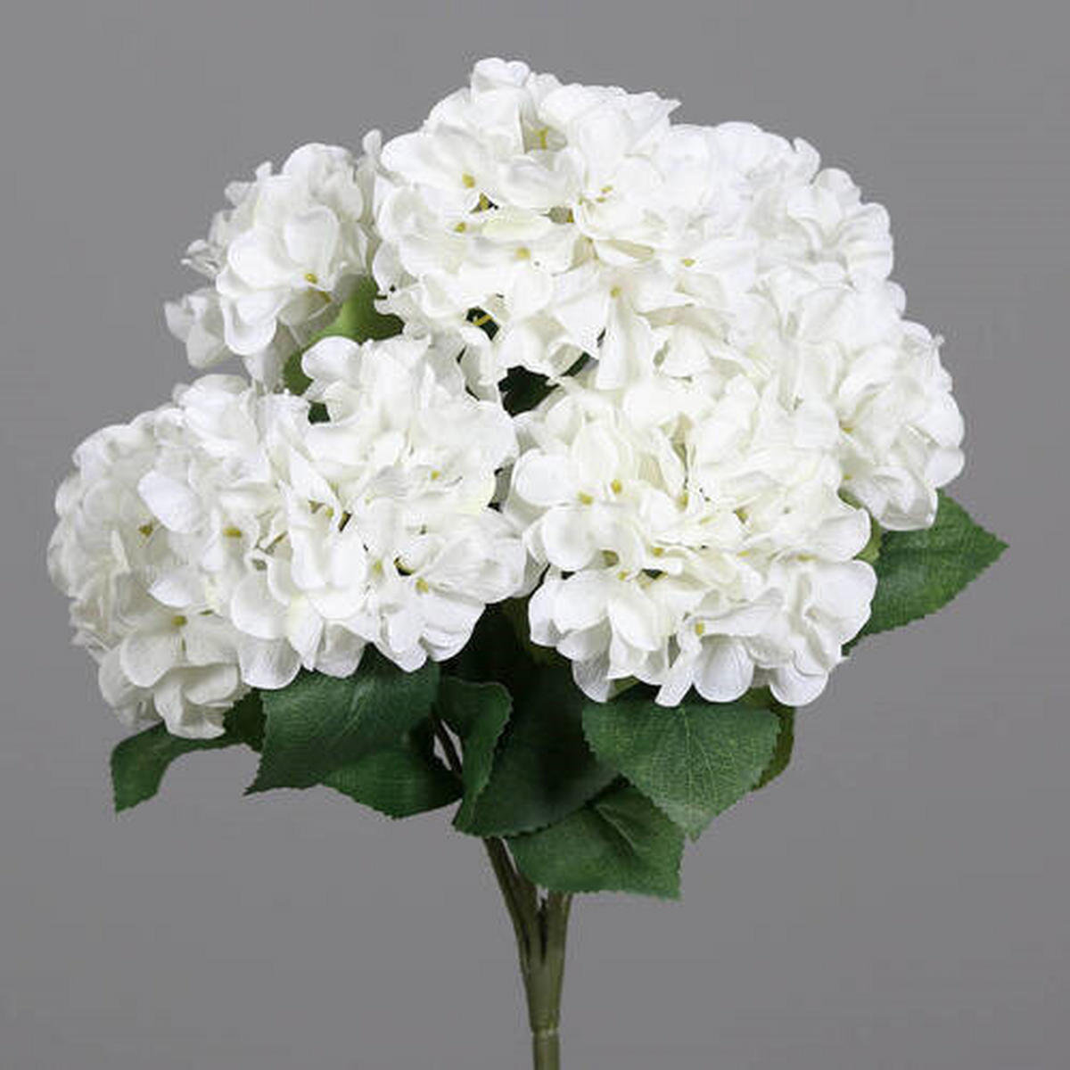 HORTENZIJA - zelena/bela, Osnovno, tekstil/plastika (80cm)
