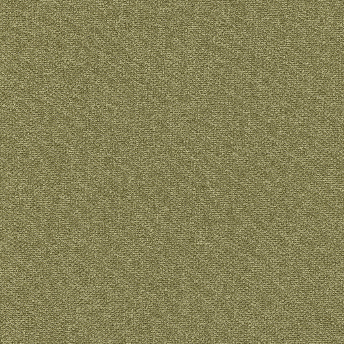 FERTIGVORHANG  blickdicht   140/245 cm  - Grün, Basics, Textil (140/245cm) - Esposa