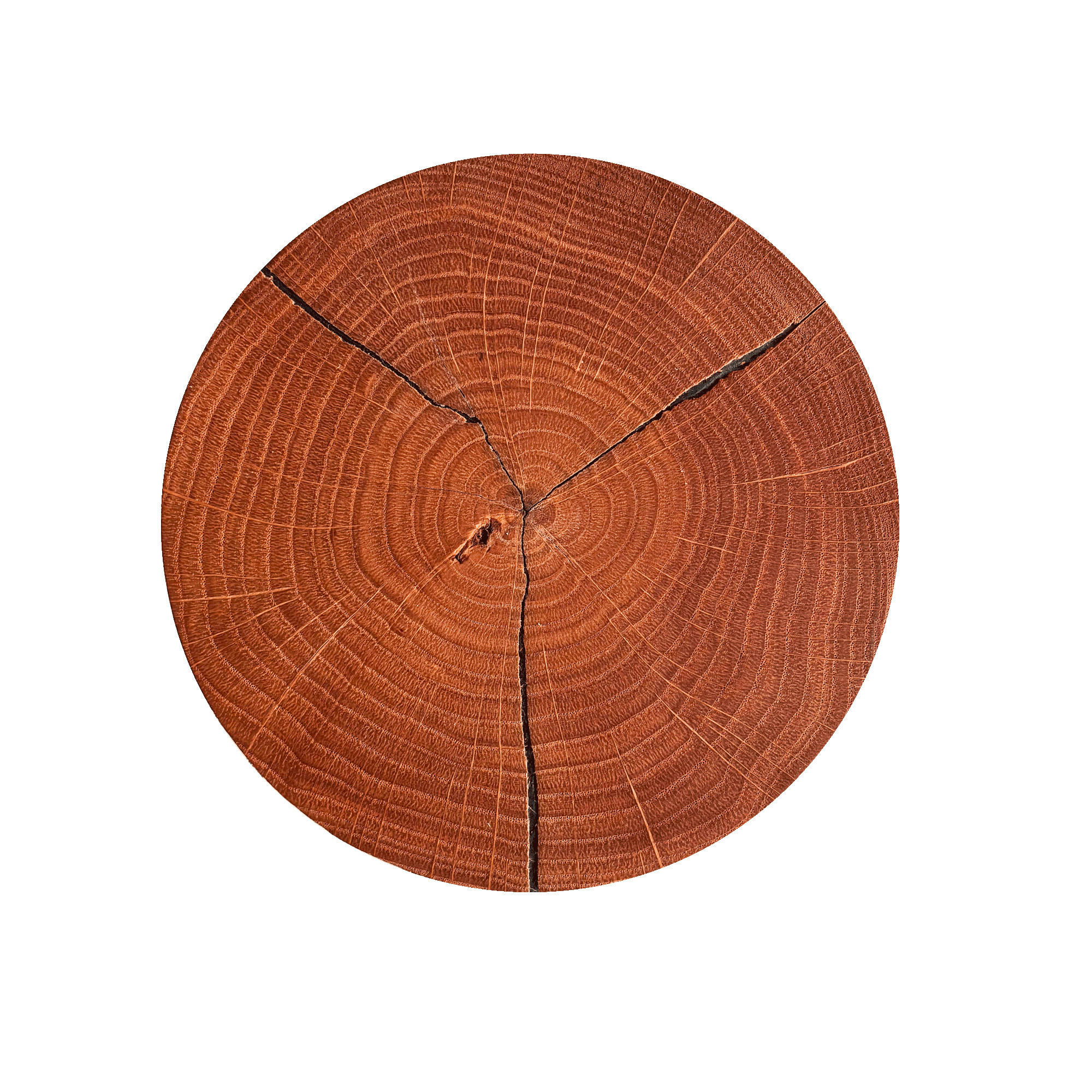 LED-WANDLEUCHTE 19/10 cm   - Eichefarben, Natur, Holz (19/10cm) - Waldwelt