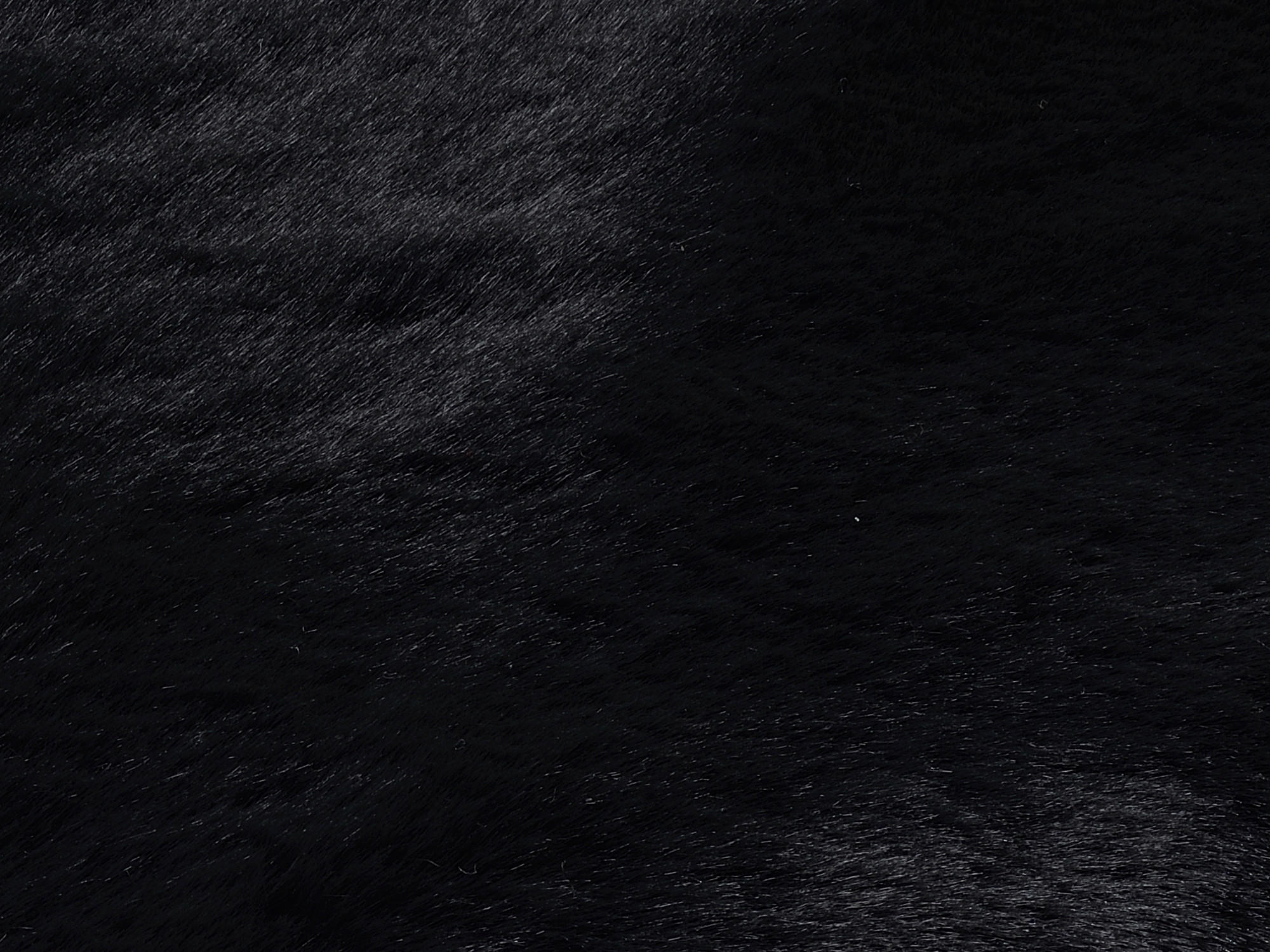 HOCHFLORTEPPICH 200/290 cm Silky Haven Schwarz  - Schwarz, Basics, Textil (200/290cm) - Novel