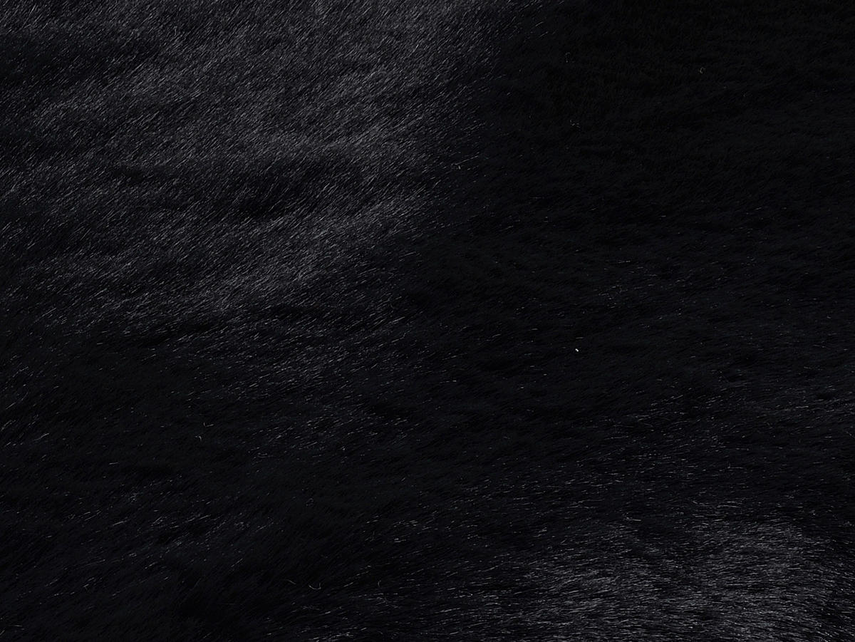 HOCHFLORTEPPICH 160/160 cm Silky Haven Schwarz  - Schwarz, Basics, Textil (160/160cm) - Novel